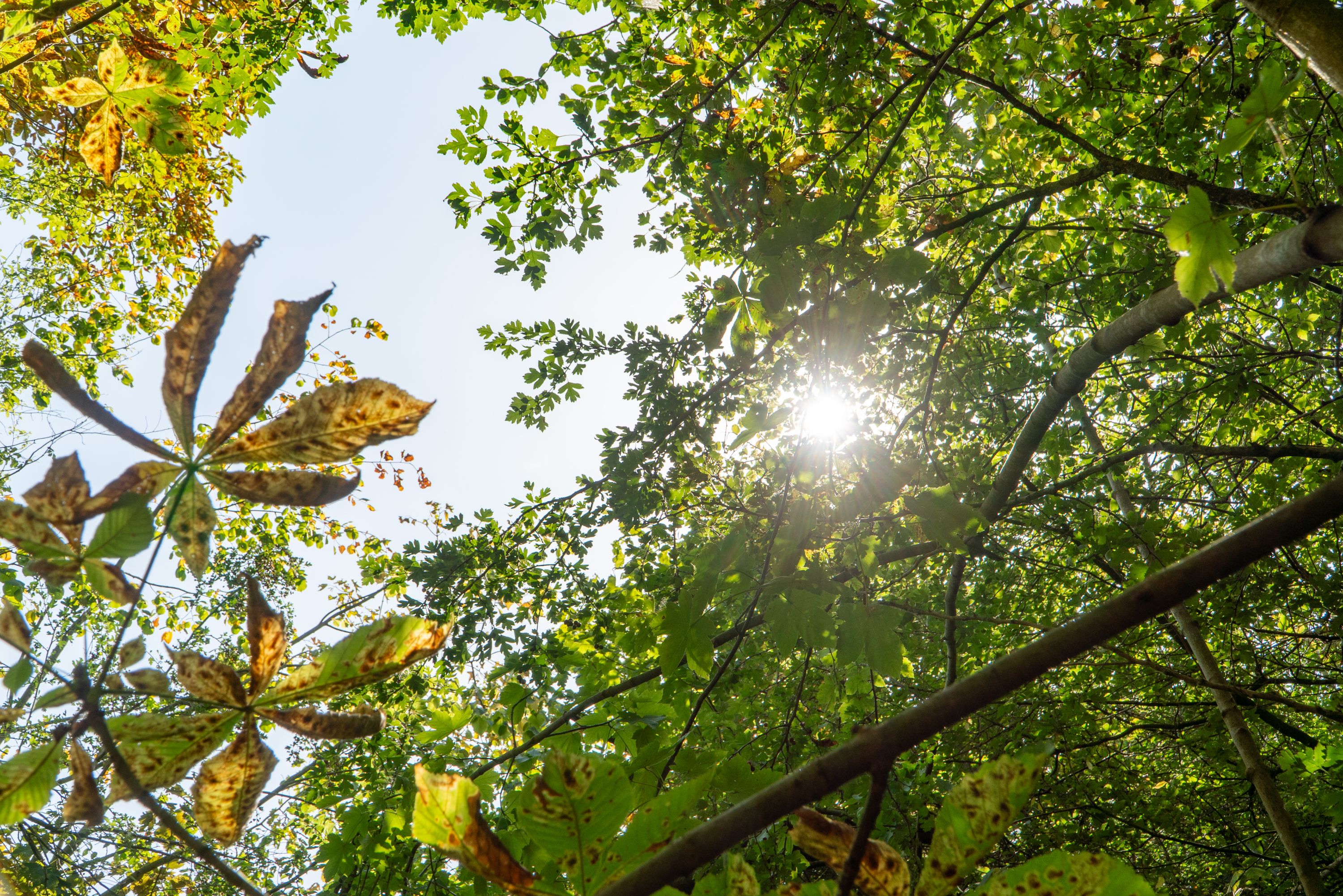 Tournage CENH Wormhout 