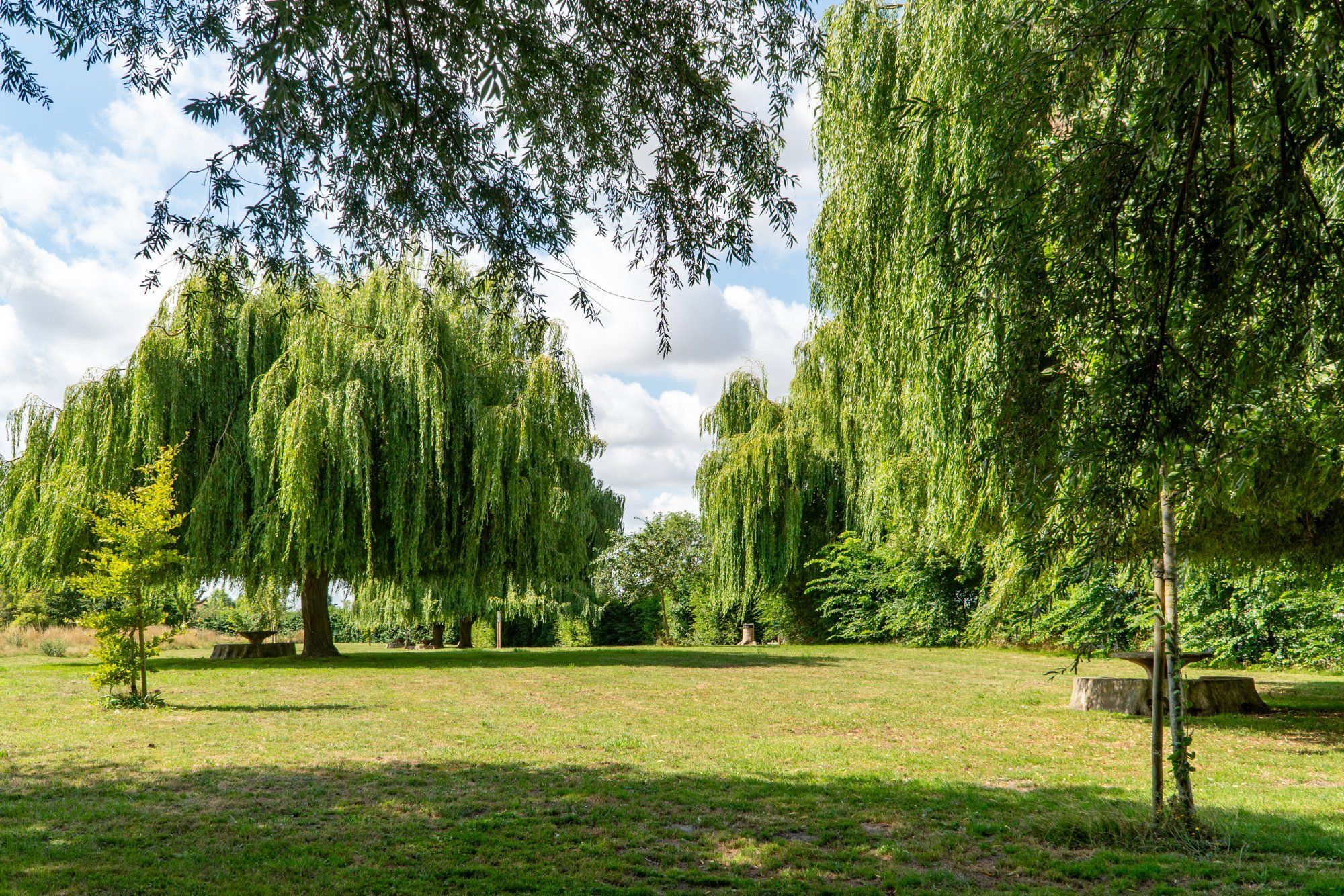 Plus de 4000 photos réalisées sur 3 saisons 