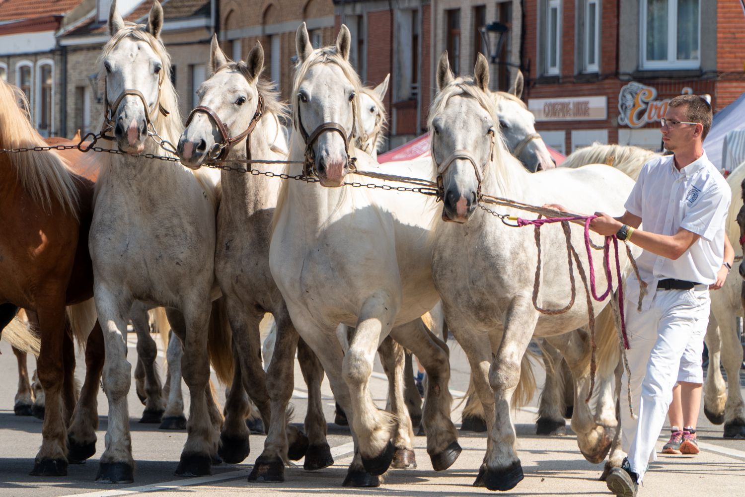 Reportage Karyole Feest 2024 