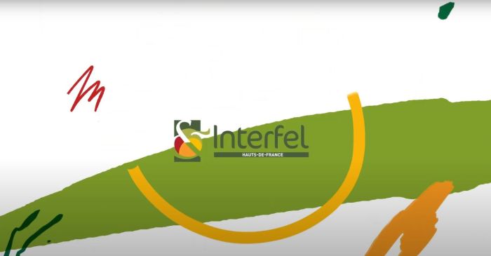Bilan des actions du Comité Interfel Hauts-de-France en 2024.
