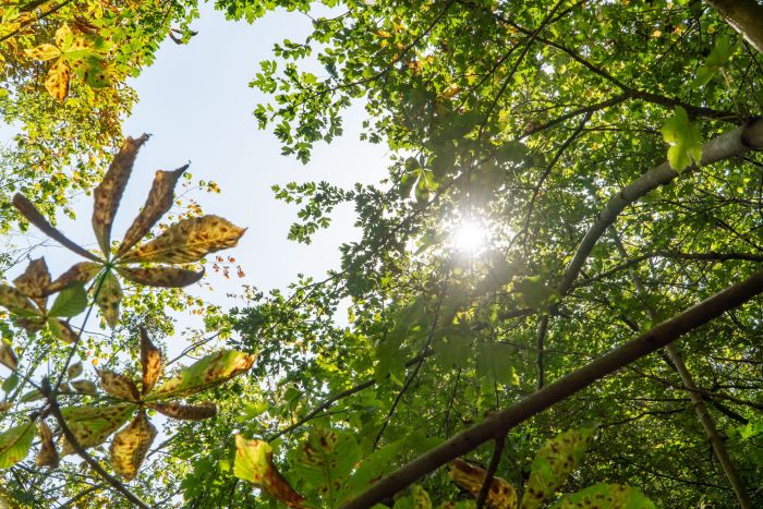 Tournage CENH Wormhout