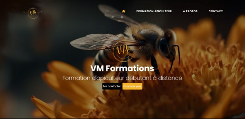 Site internet VM Formations